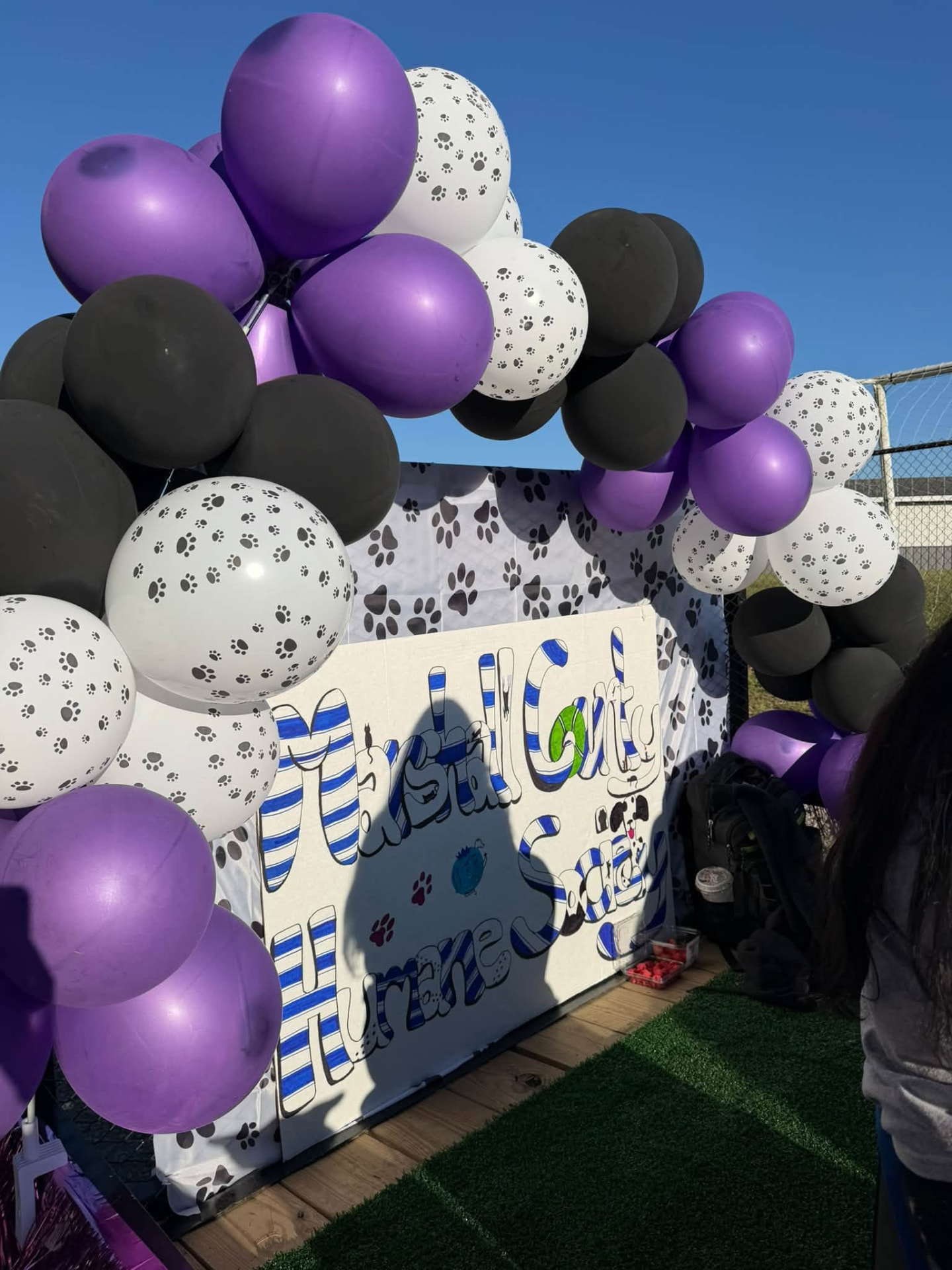Hand-painted Marshall County Humane Society sign surrounded by a purple, black and paw-print balloon arch